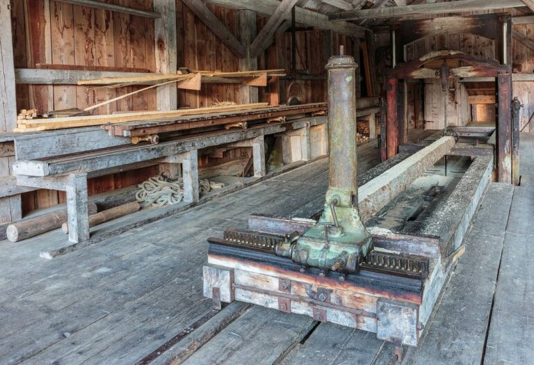 Mecanismo de corte e esteira de processamento de madeira em serraria industrial - Fonte: Wikimedia Commons